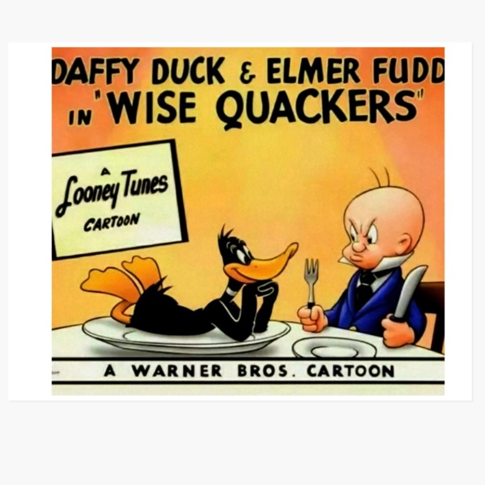 DAFFY DUCK & ELMER FUDD 8.5x11 ULTRA PREMIUM GLOSSY CARTOON FOR KIDS WALL POSTER